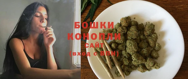 крисы Бронницы