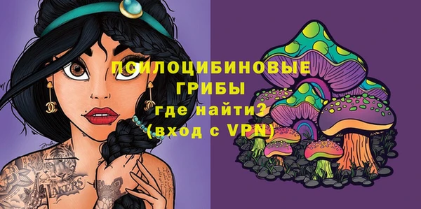метадон Богданович