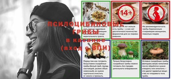 спайс Бородино